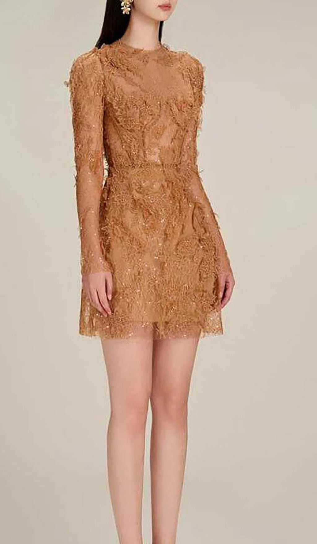 Brown Floral Lace Long Sleeve Mini Dress