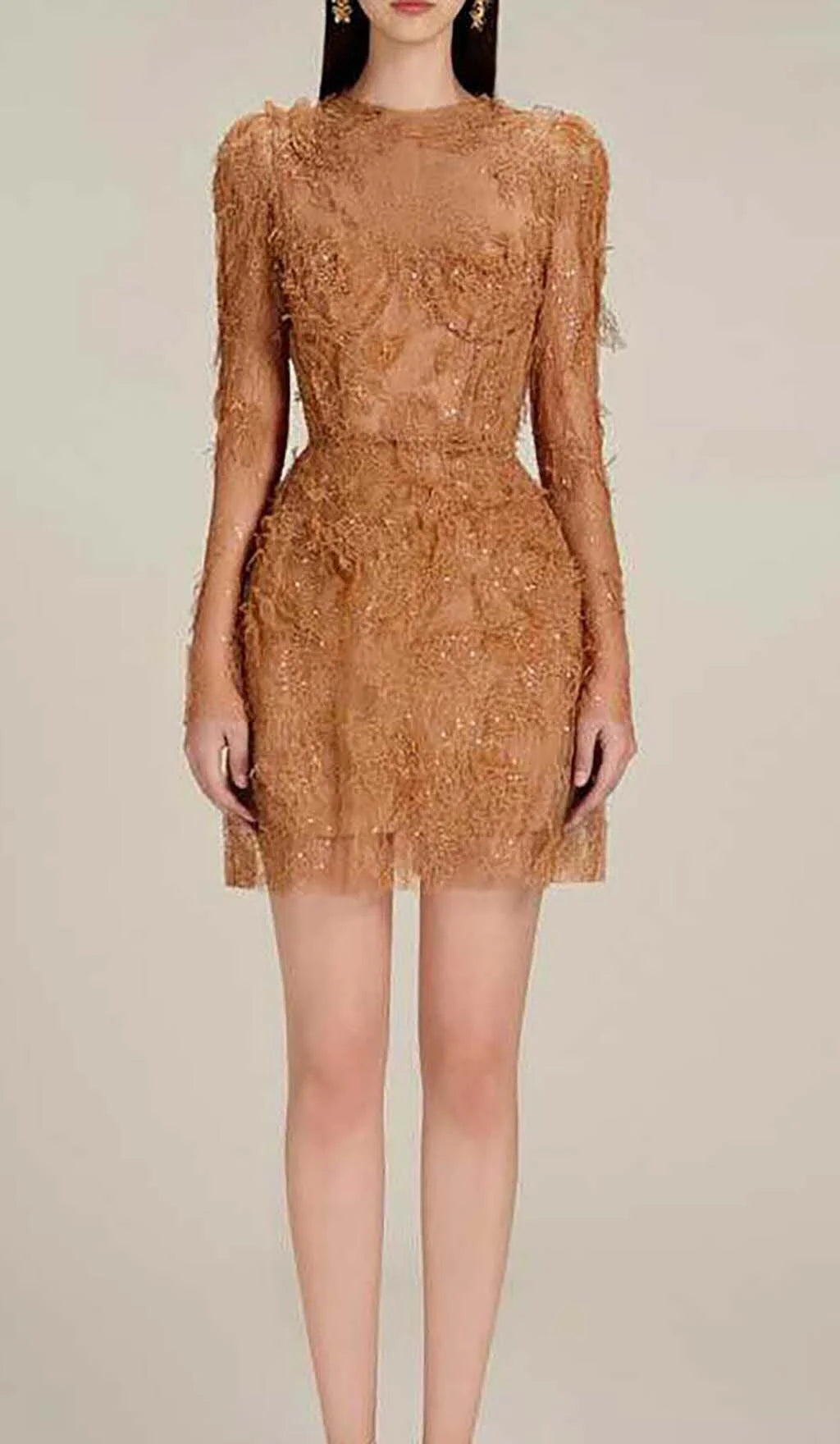 Brown Floral Lace Long Sleeve Mini Dress