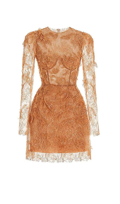 Brown Floral Lace Long Sleeve Mini Dress